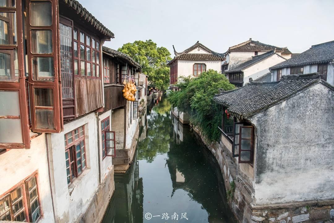 探索绿植黄叶子怎样治疗,共享知识的星球平台