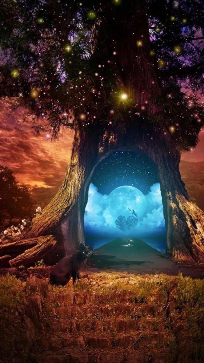 如何识别不可靠的公司?-知识星球平台,打开你的知识星辰之门